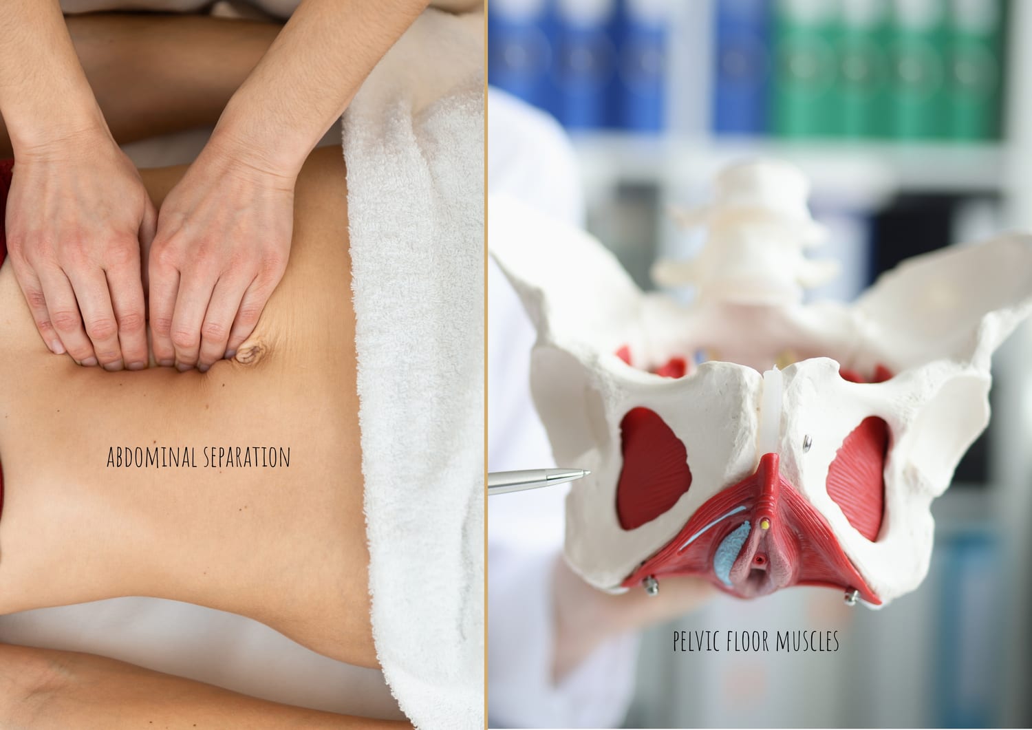 Take care of the invisible recovery first — balance the pelvic floor muscles and heal any diastasis recti.